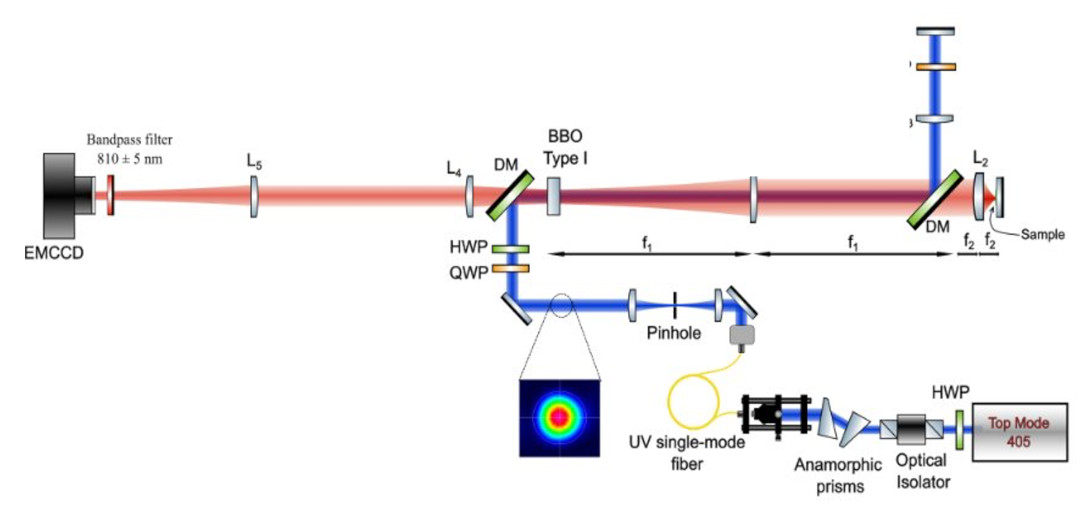 [Figure 1]