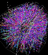 Detector simulation