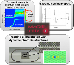 THz spectroscopy