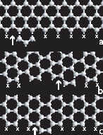 [Carbon nanotube growth model]