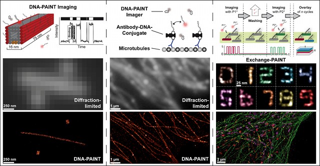 DNA-PAINT and
Exchange-PAINT at work